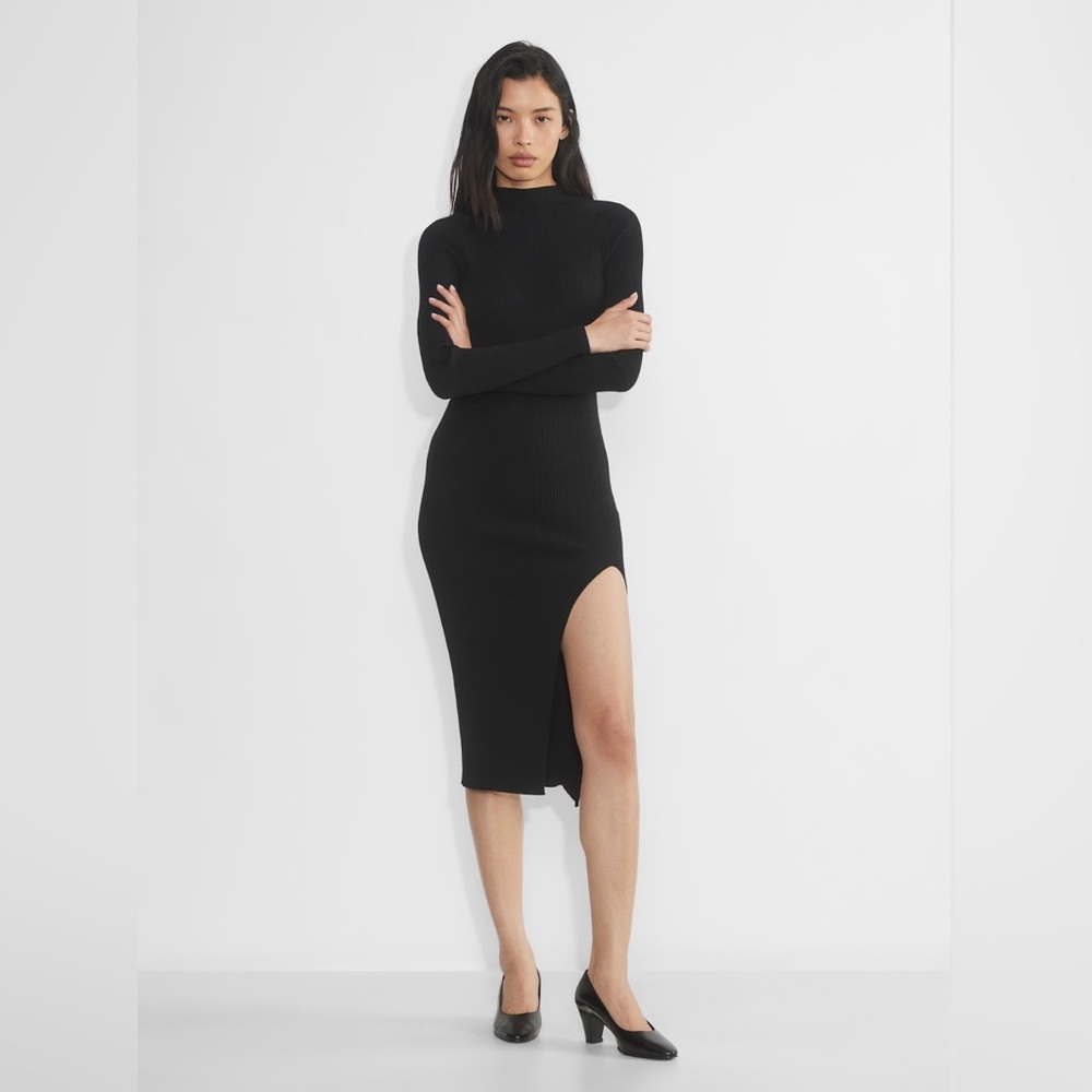 Aritzia Wilfred Knit Mockneck Sweater Dress